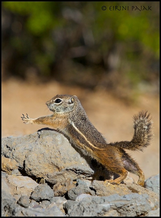 Morning Stretch