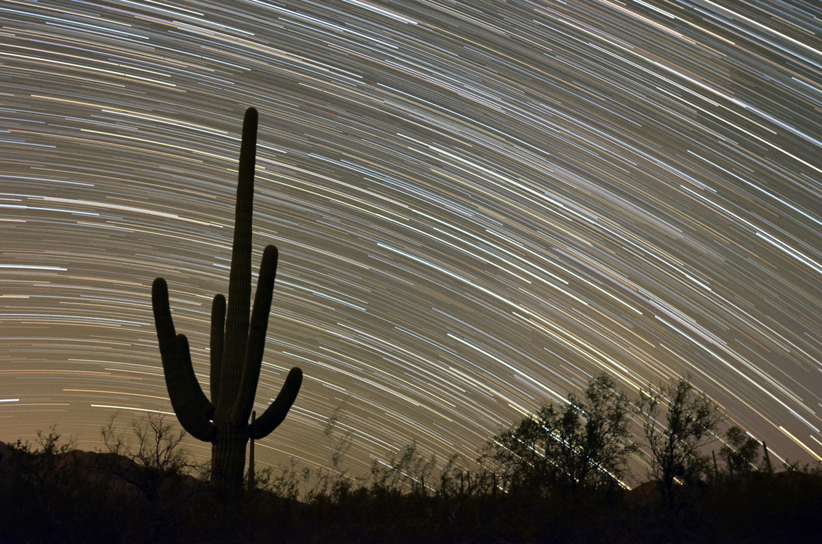 Saguaro Star Trails