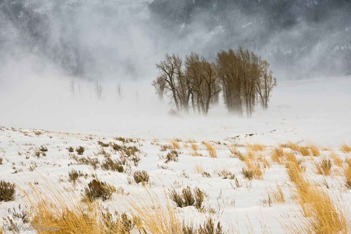 Ground Blizzard