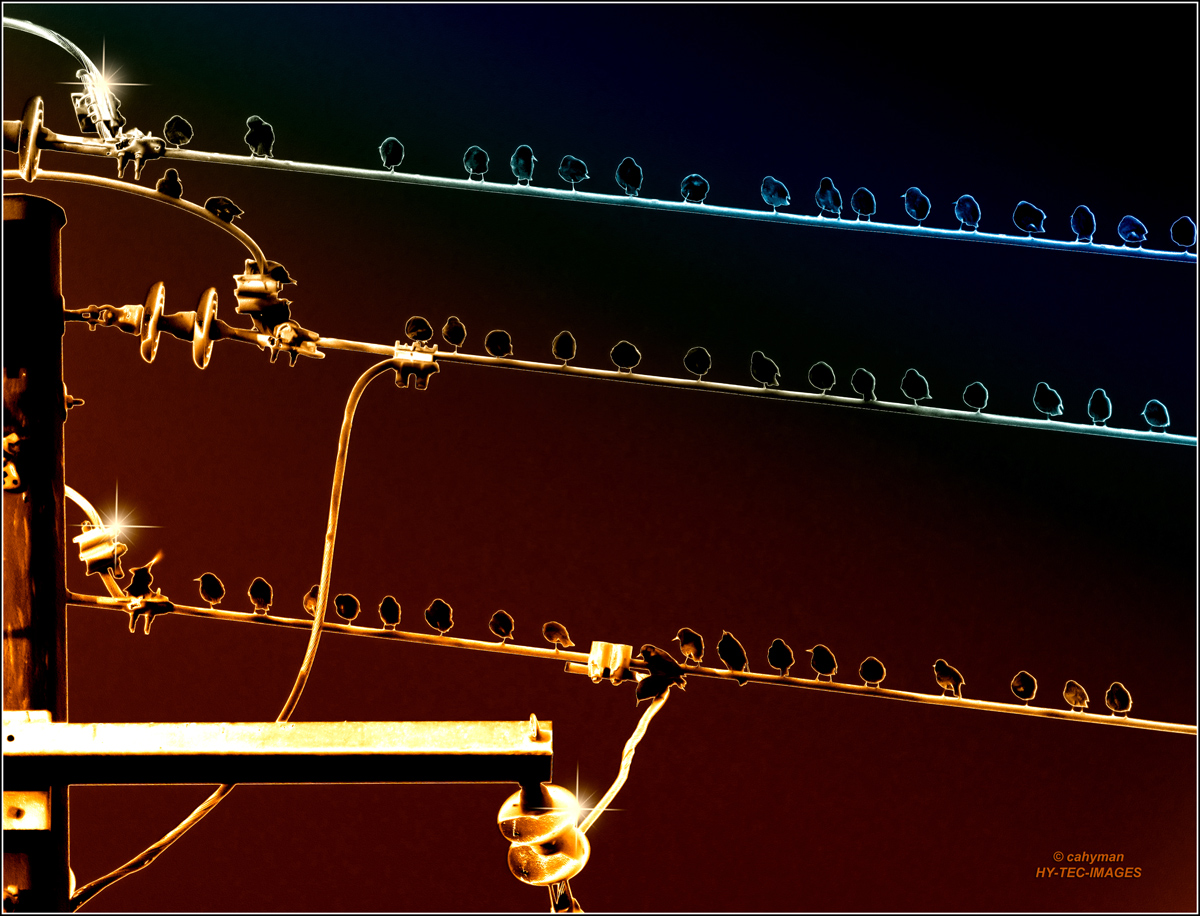 Music in the Sky