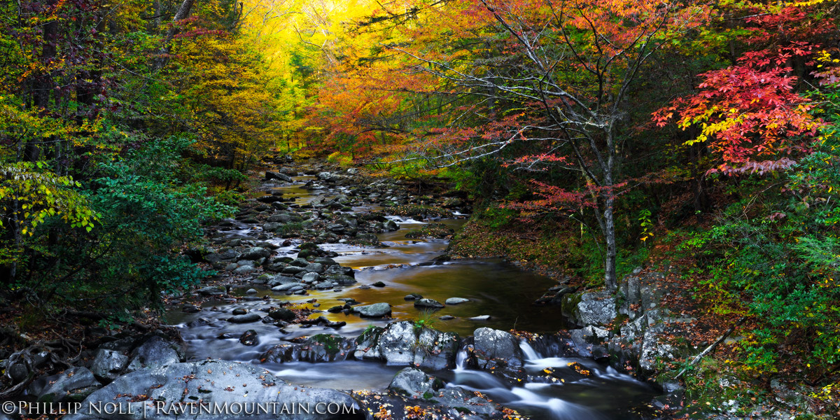 Laurel Creek