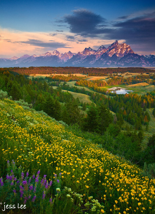 Teton Spring