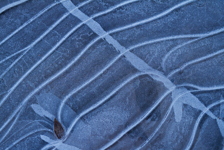 Art In The Ice