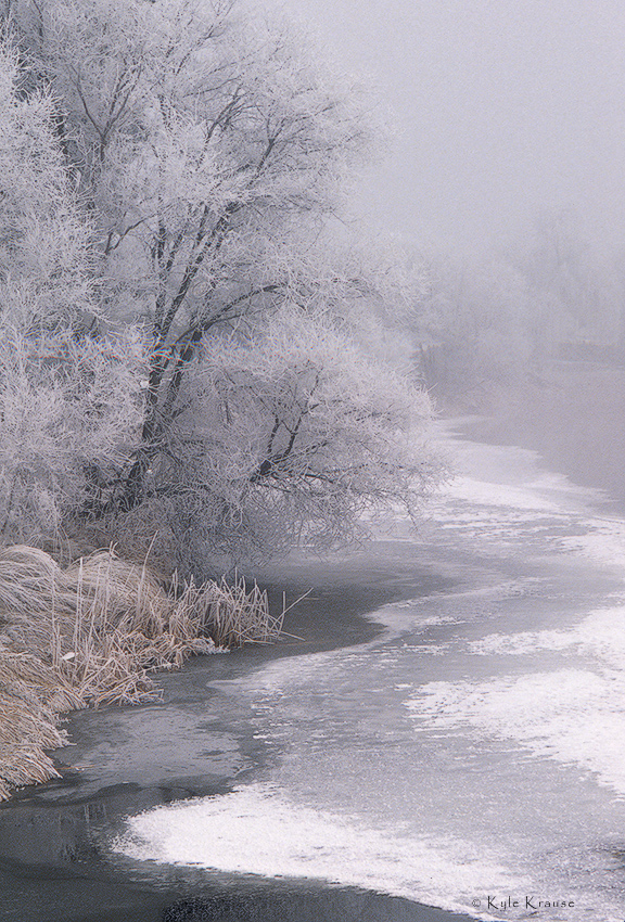 Frosty morning