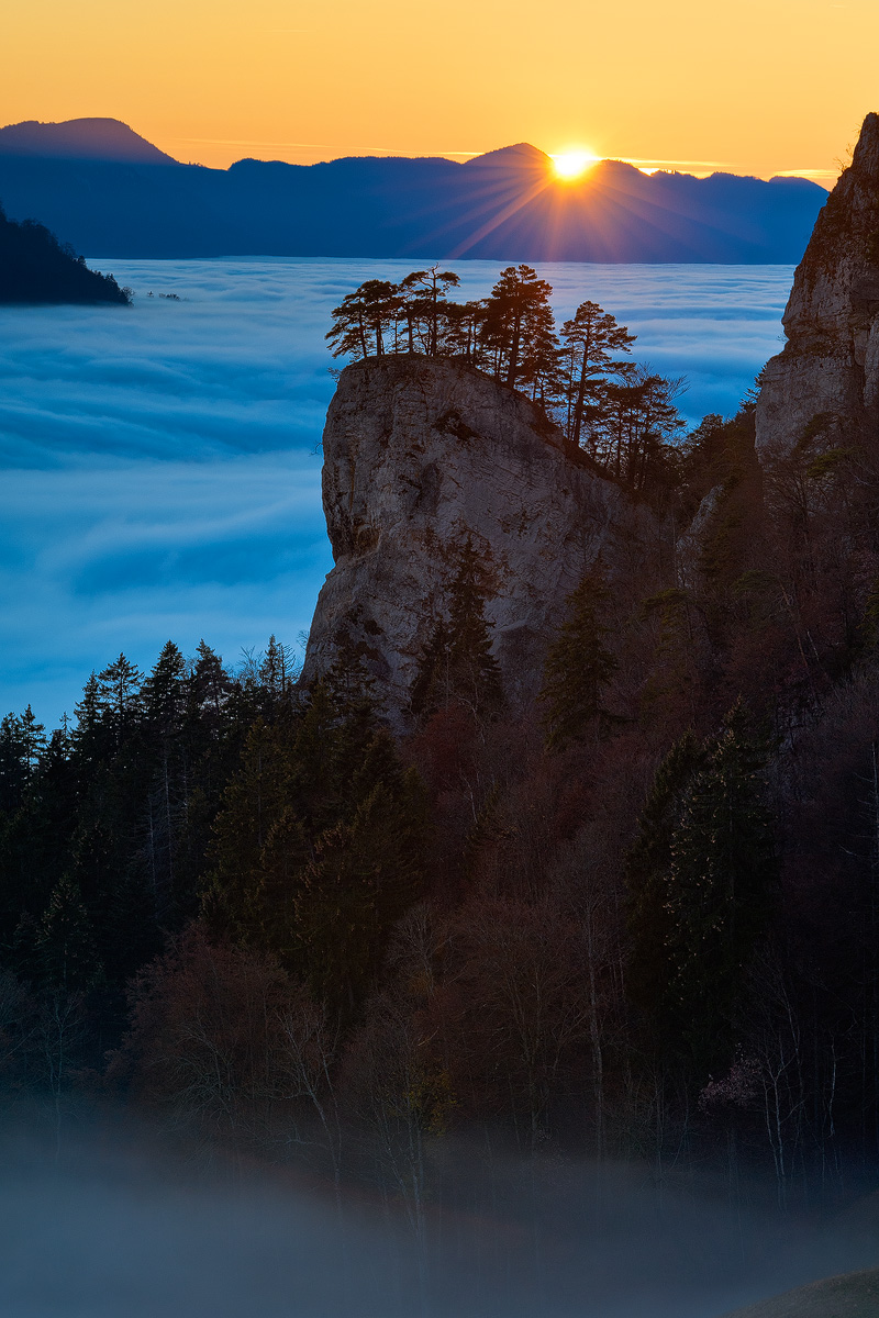 Sea of fog