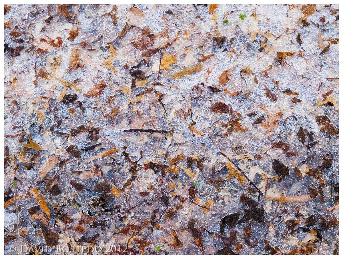Pollock-y