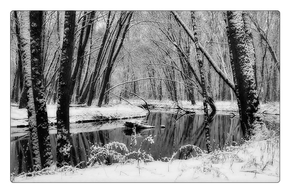 Bear Creek