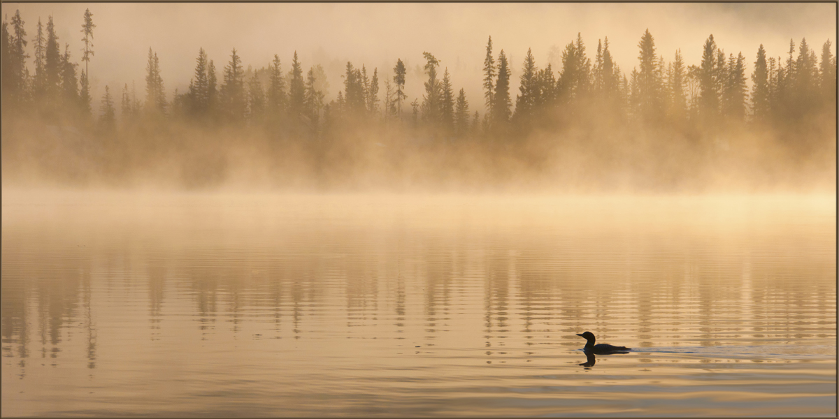 WC #518:   Serenity 