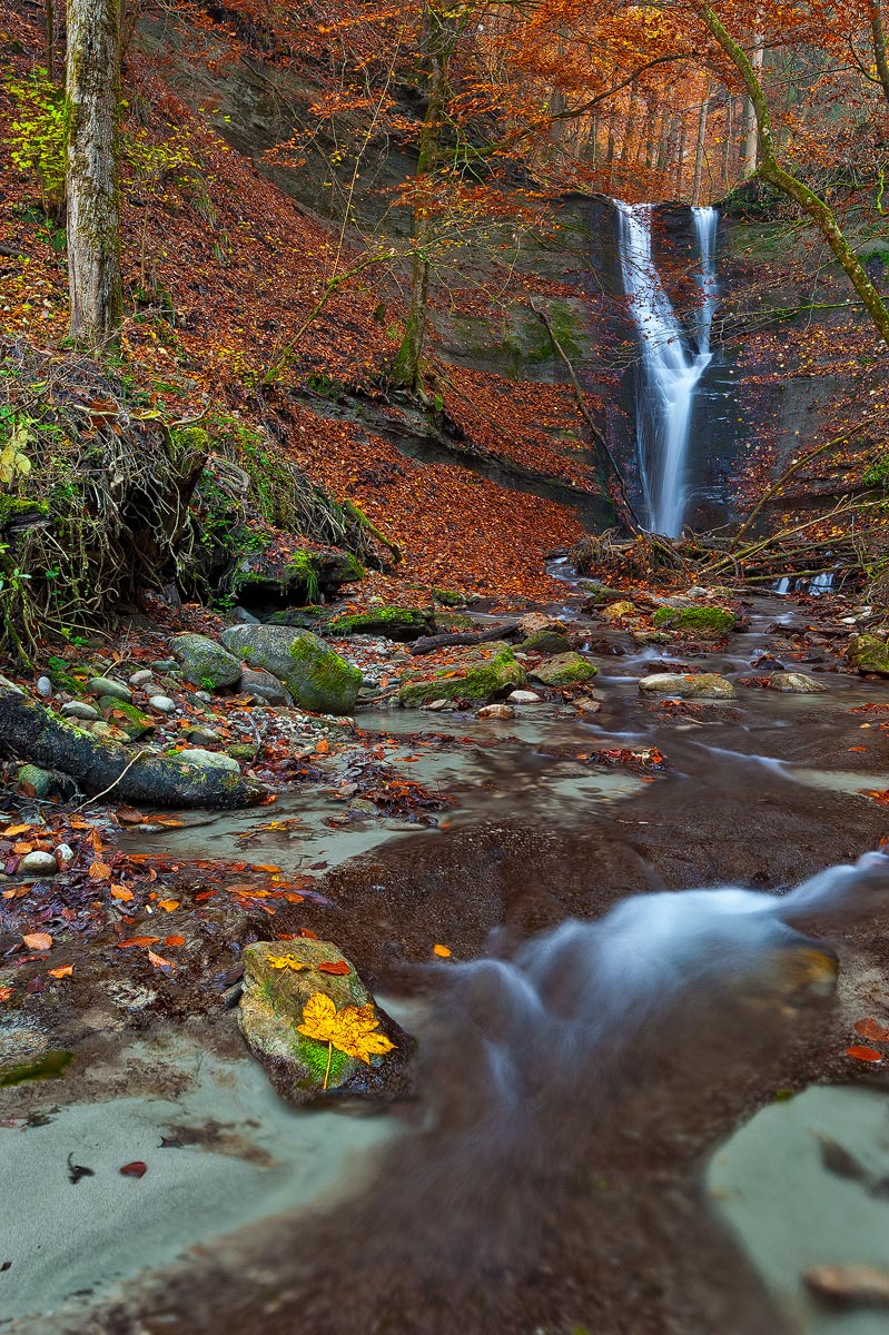 Mutzbach in fall