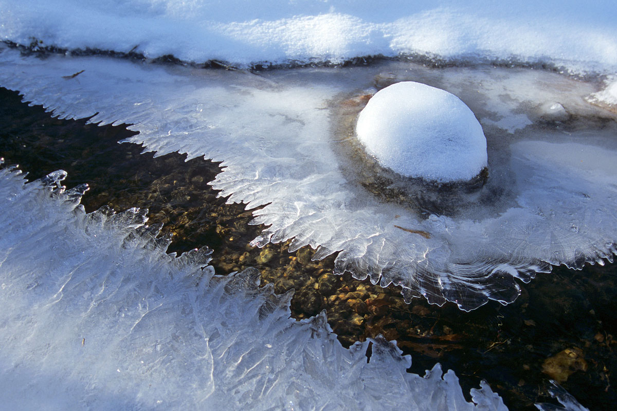 Ice Creature