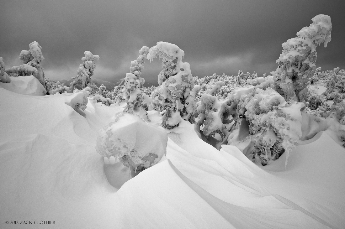 Frozen Wonders