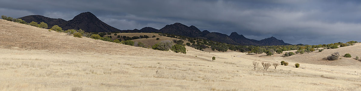 Sonoita + repost!