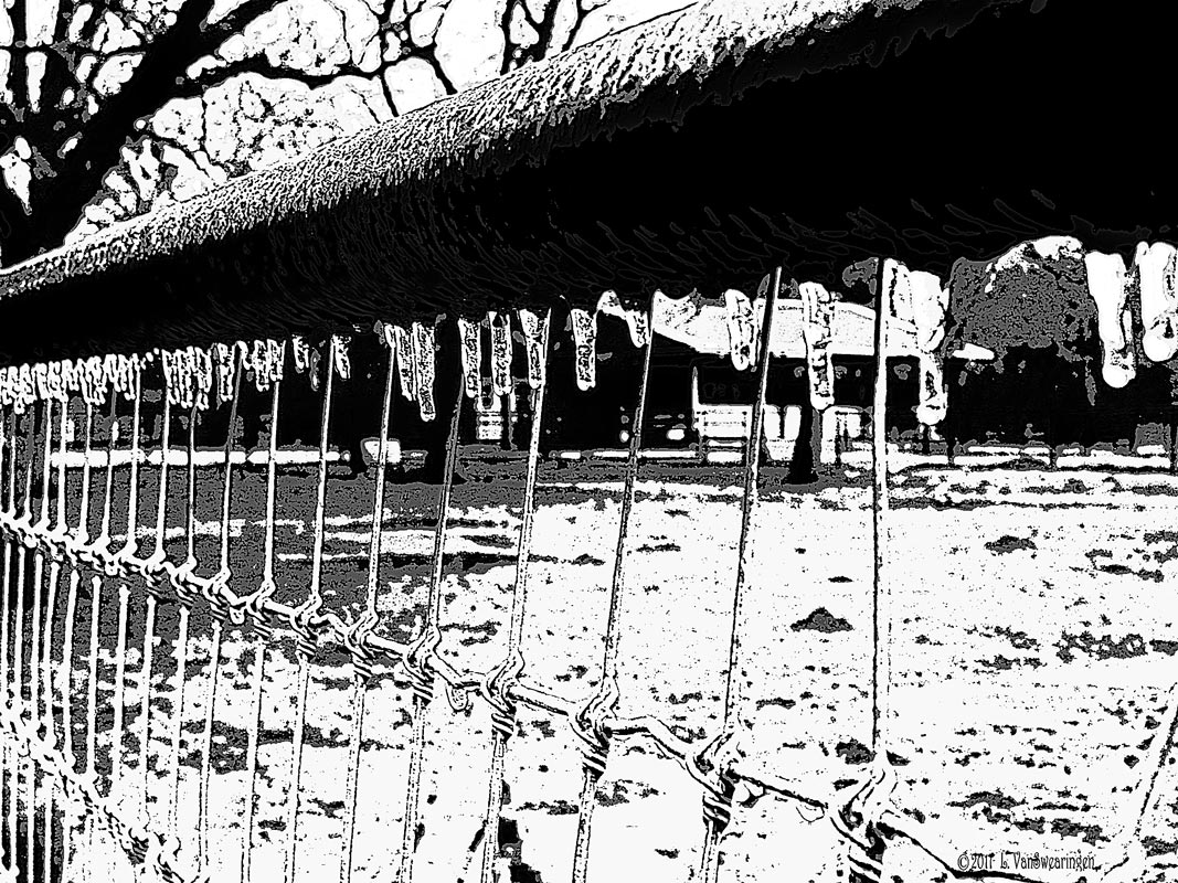Fringed Fence