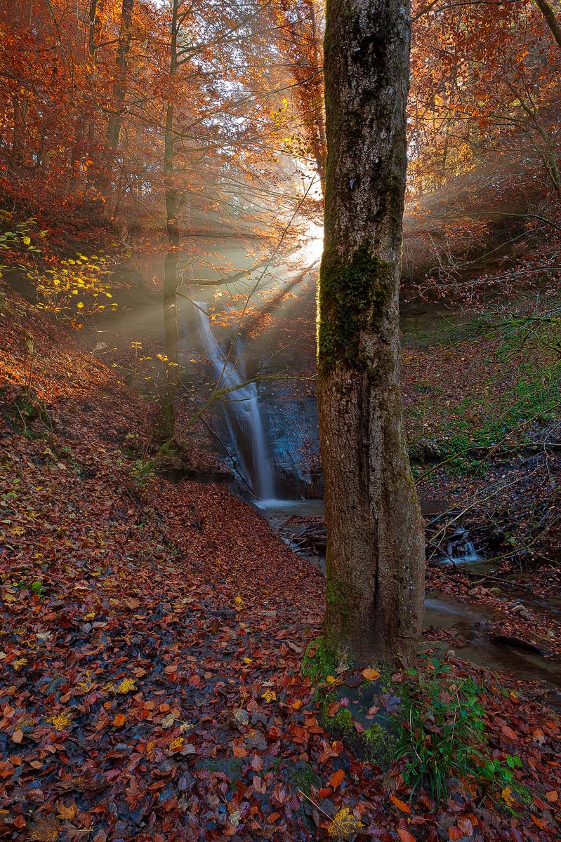 Magic Autumn