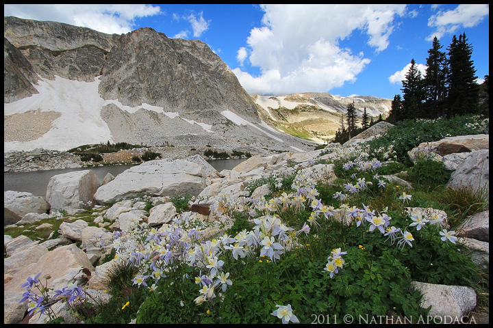 Medicine Bow NF