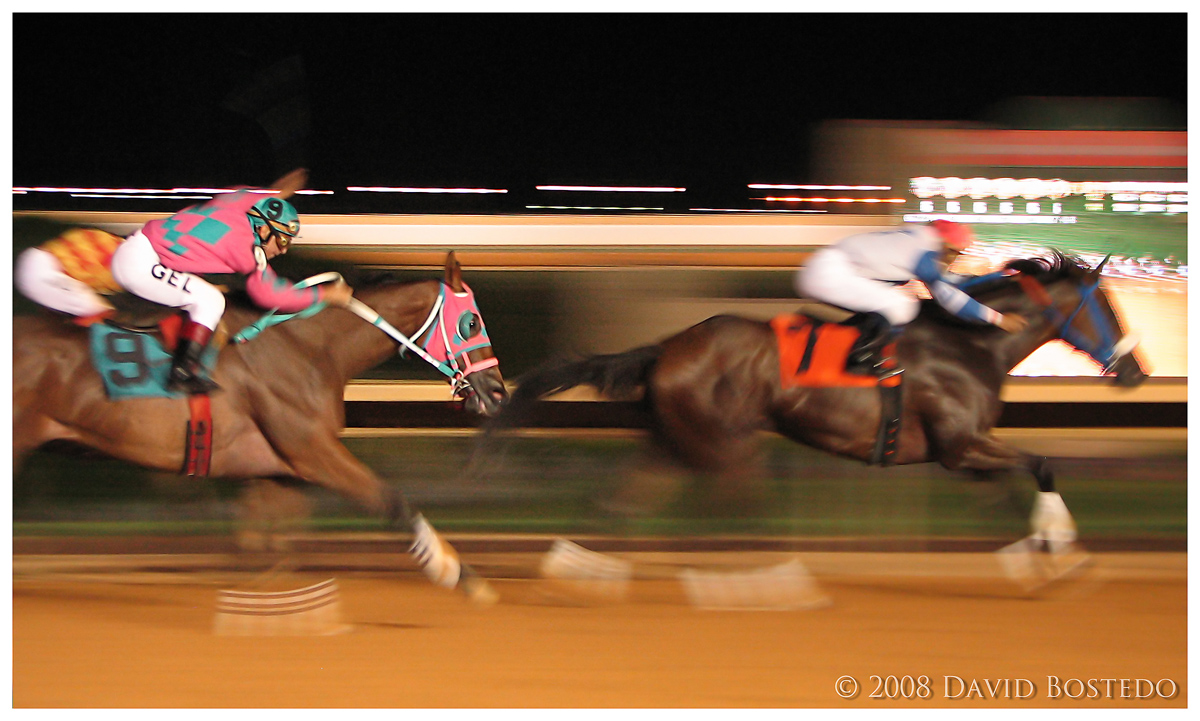 Gallop