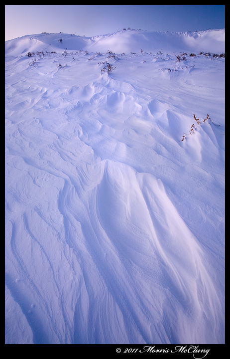 Gloaming in the snow