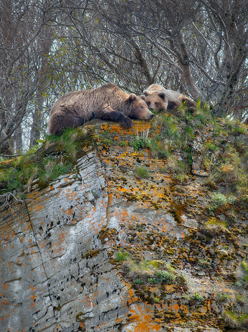 On Edge