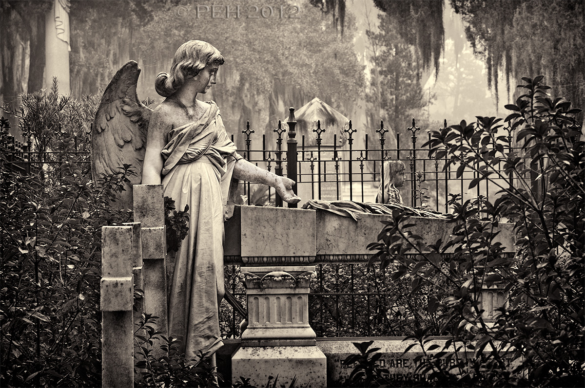 Gracie's Guardian Angel