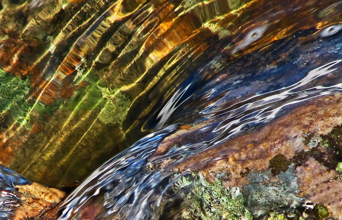 Headwaters--First Spring