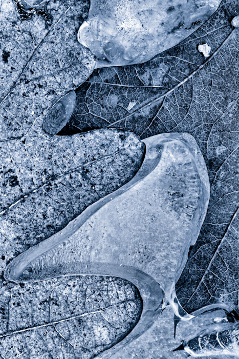 winter abstract