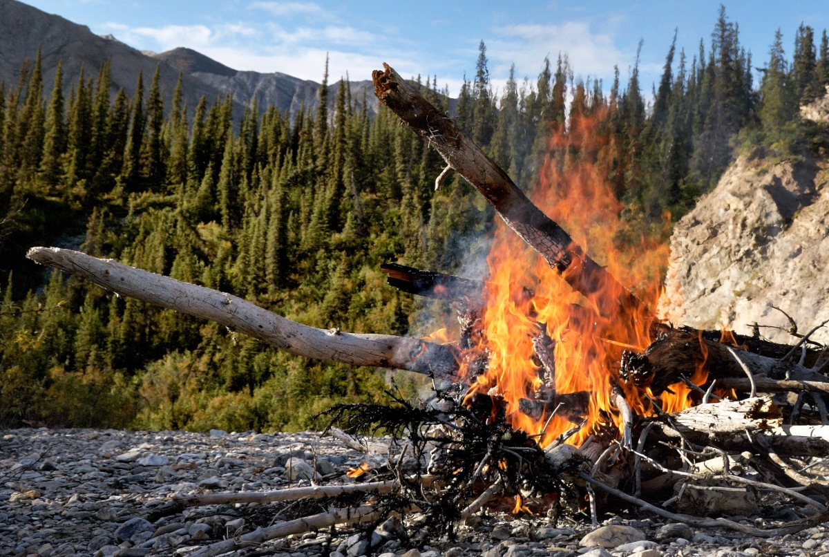 Alaskan Warmth