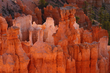 Bryce Canyon