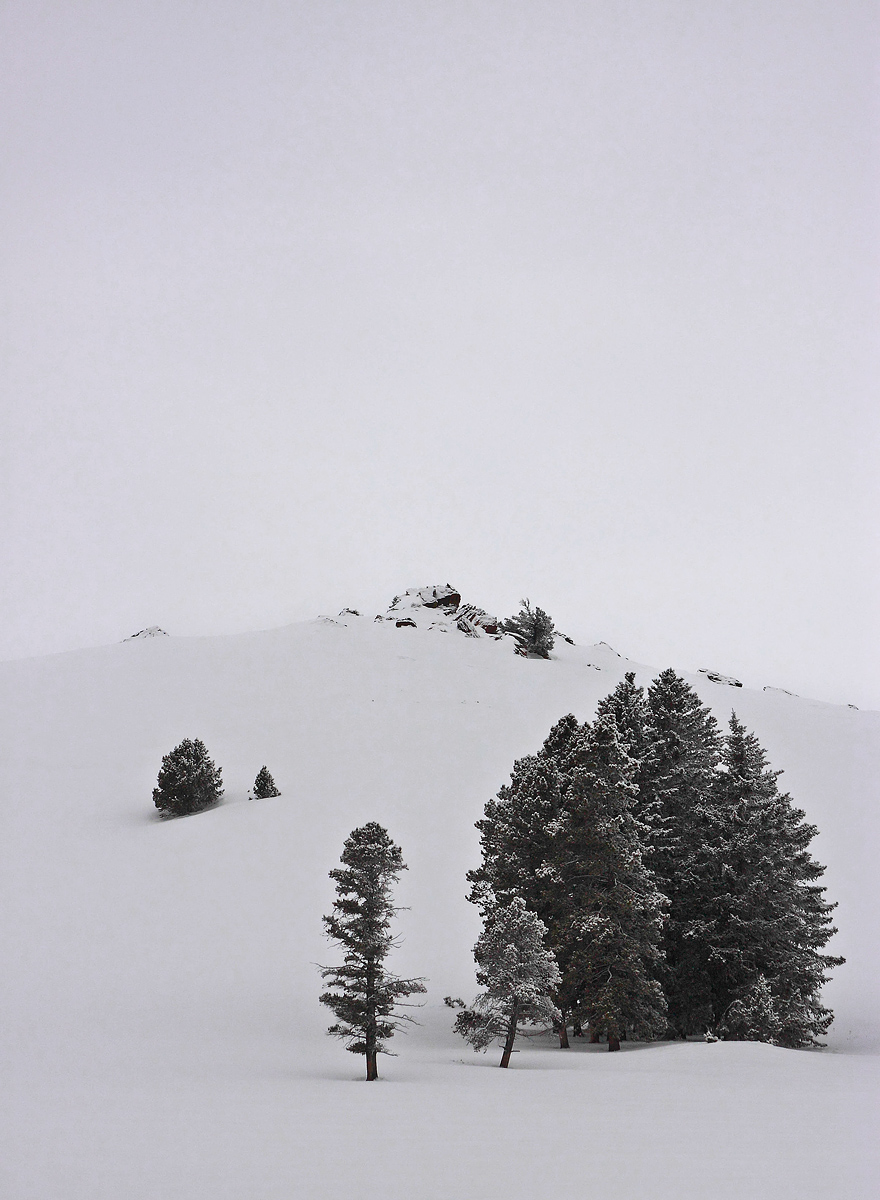 Winter Sky + Repost