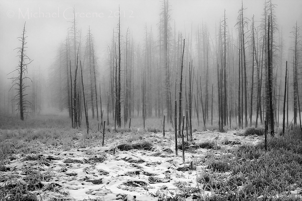 Frozen in Time + Crop