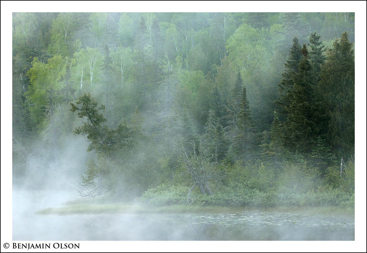 Foggy Baptism