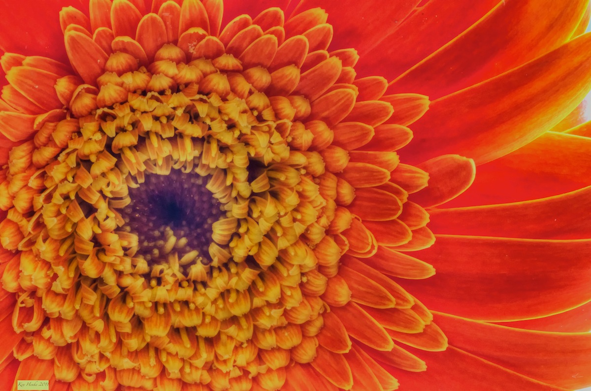 Its Orange
