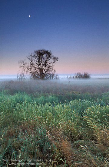 Central Valley Moon