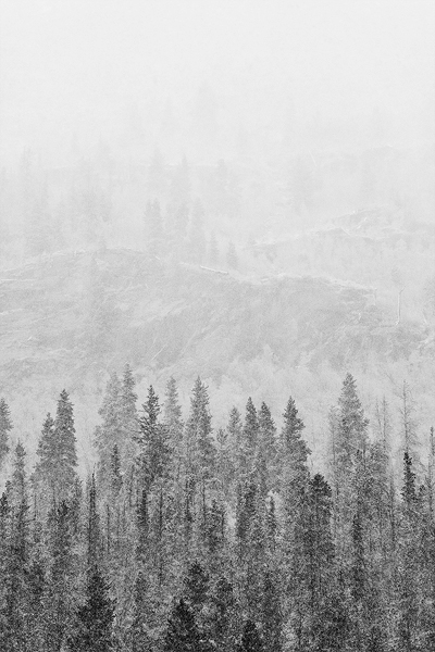 Blizzard Veil w/2 Repost