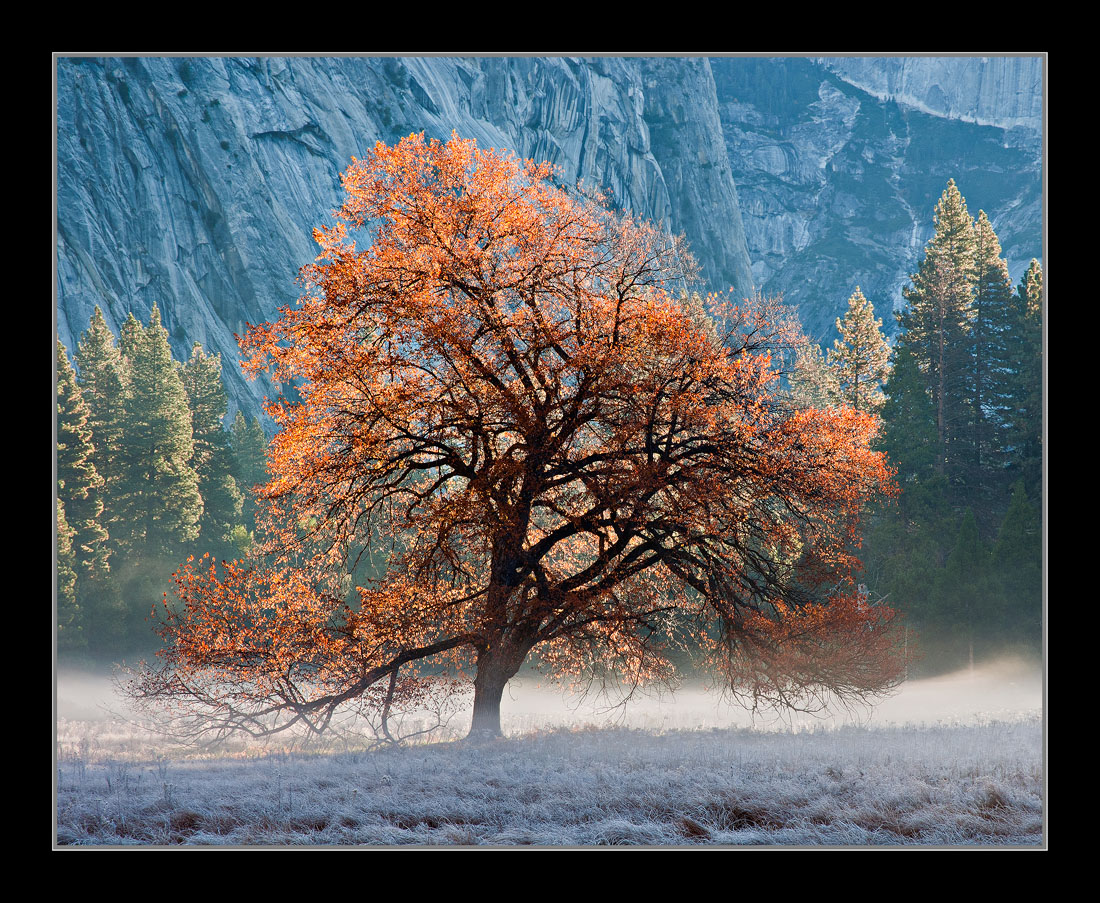 Autumn Spice
