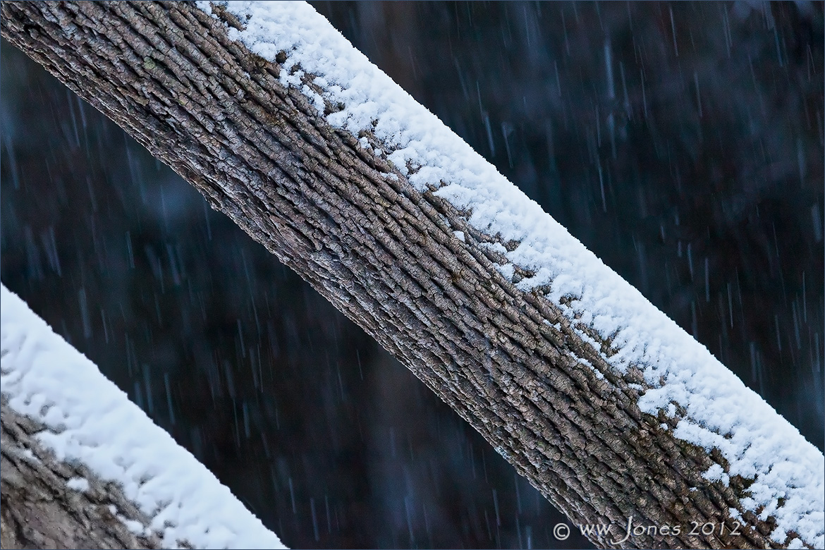 Woods on a Snowy Evening