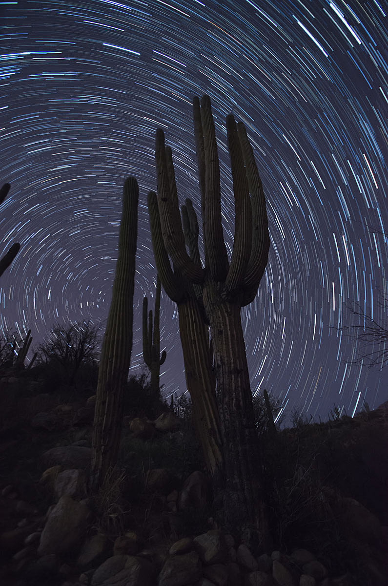 Saguaro Convergence