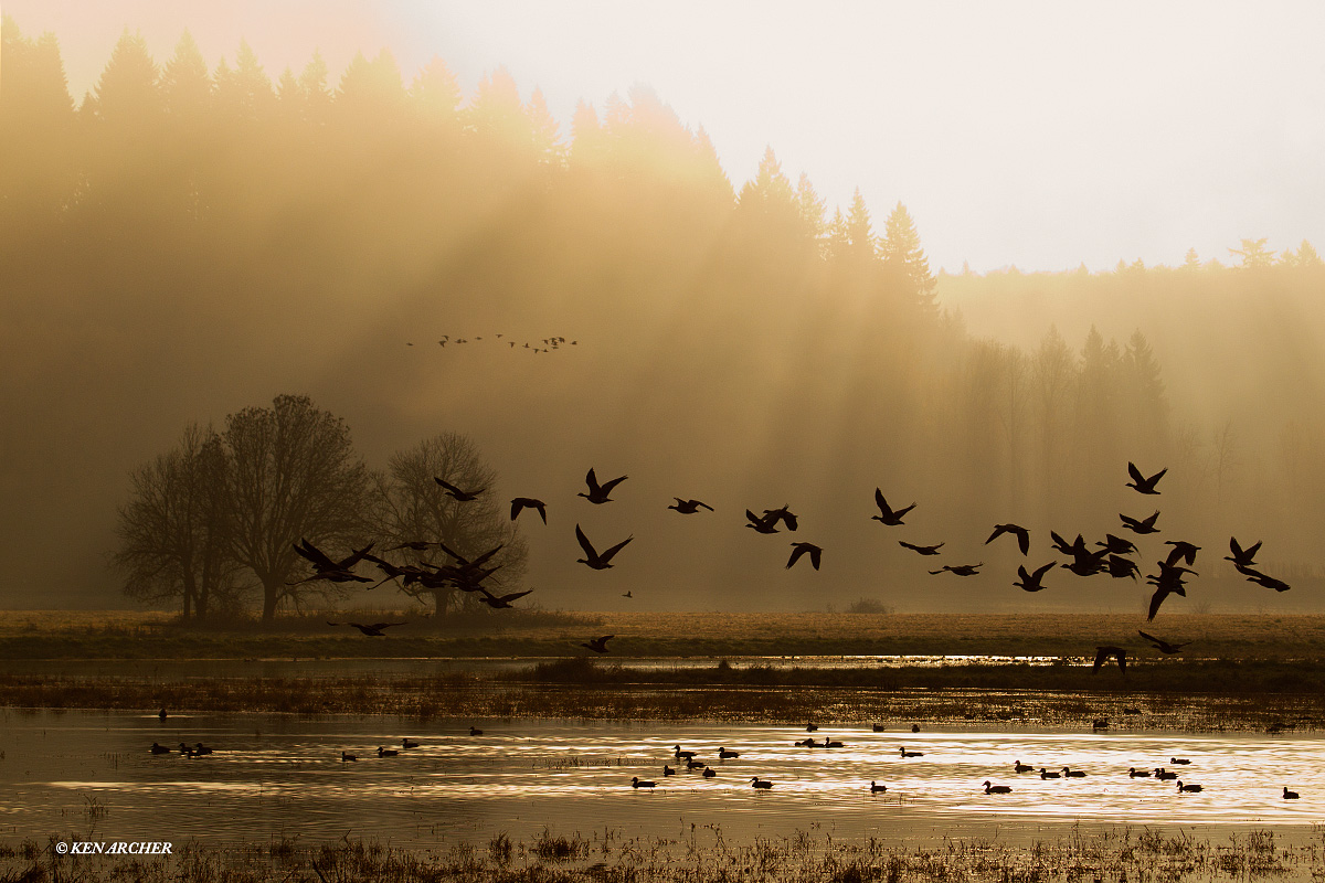 Sunrise at the Marsh