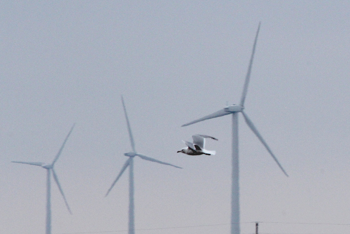 Powered by/on the wind.