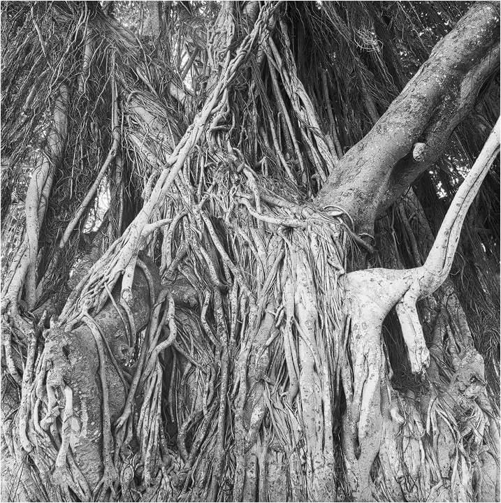 interwoven