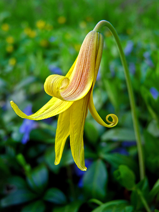 Sign of spring