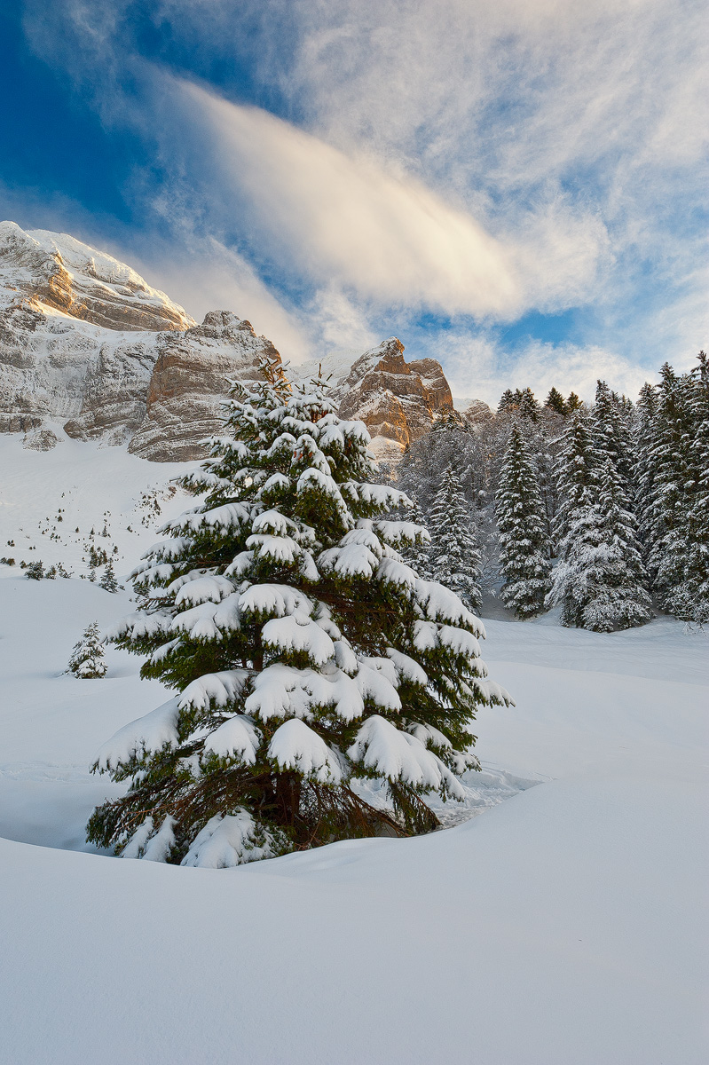 Schwägalp in Winter