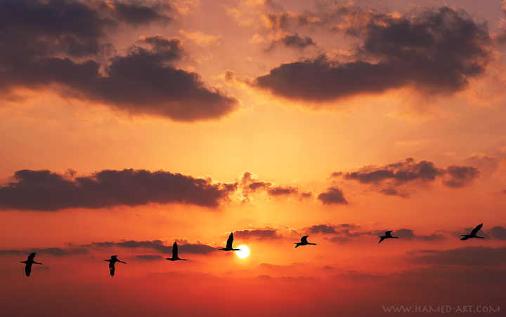 Migration of the sunset