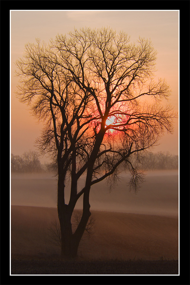 Sunrise and Fog +b/w
