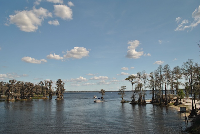 Cypress Cove