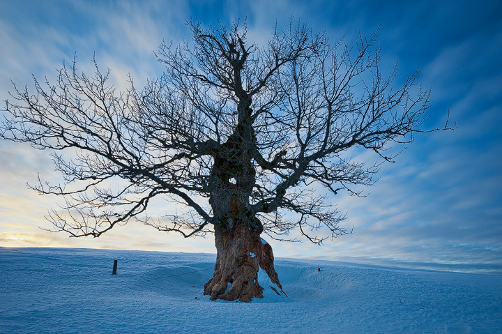 Still Standing