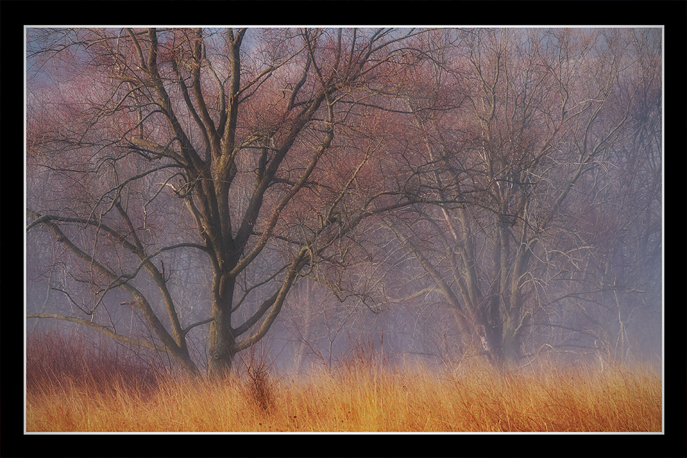 Early Spring Morning