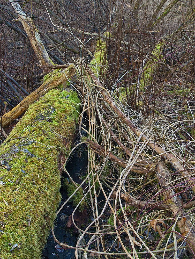 Remains