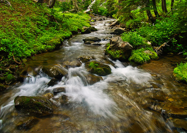 The Brook