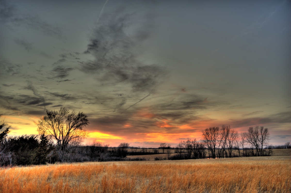 Late Winter Pasture
