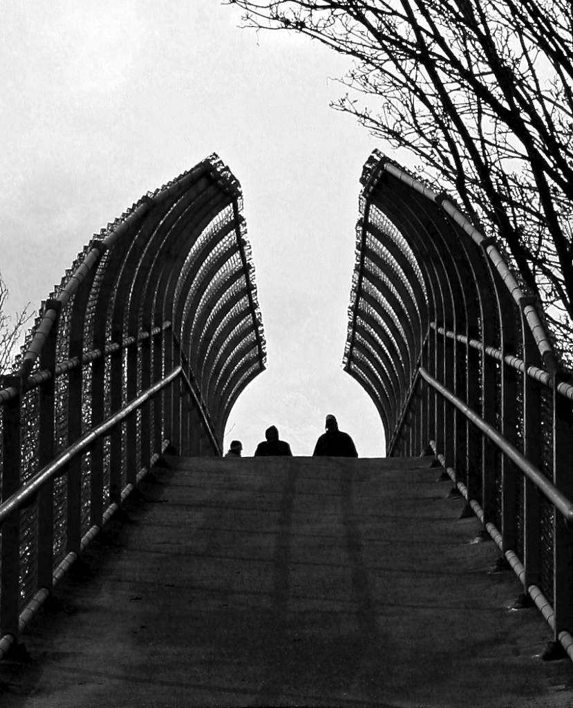 The Bridge